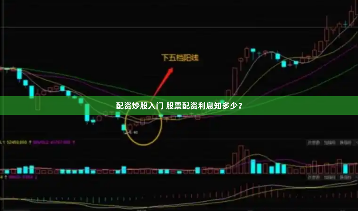 配资炒股入门 股票配资利息知多少？
