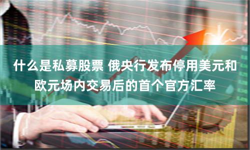 什么是私募股票 俄央行发布停用美元和欧元场内交易后的首个官方汇率