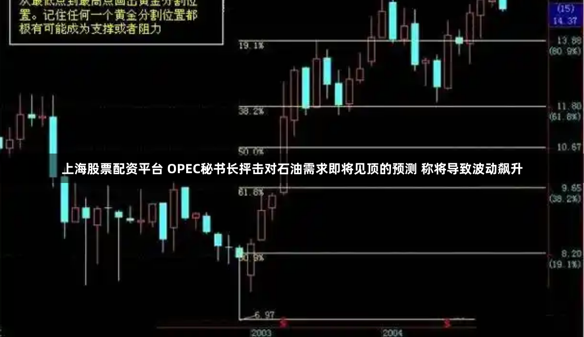 上海股票配资平台 OPEC秘书长抨击对石油需求即将见顶的预测 称将导致波动飙升
