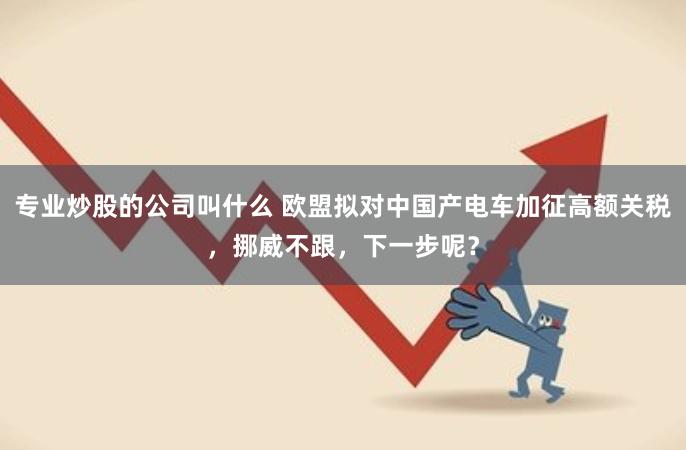 专业炒股的公司叫什么 欧盟拟对中国产电车加征高额关税，挪威不跟，下一步呢？