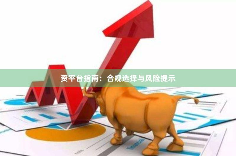 资平台指南：合规选择与风险提示