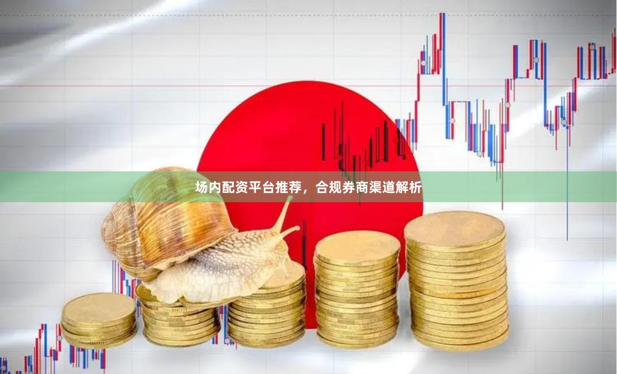 场内配资平台推荐,合规券商渠道解析