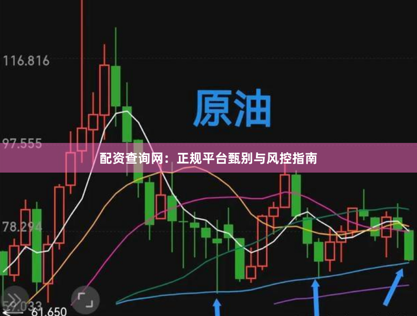 配资查询网：正规平台甄别与风控指南