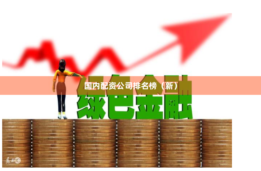 国内配资公司排名榜（新）